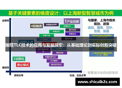 围绕TLC技术的应用与发展探索：从基础理论到实际创新突破