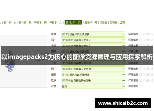 以imagepacks2为核心的图像资源管理与应用探索解析