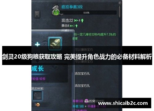 剑灵20级狗粮获取攻略 完美提升角色战力的必备材料解析